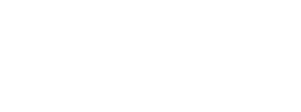 Web design company in Hot Springs AR - Diamond Networx Marketing Logo